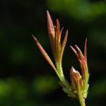 亚洲图片另类小说婷婷久 102t9