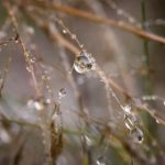 亚洲欧美在线97色 216j8ex