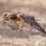 伊人久久情人综岁的合网18 7c47l4