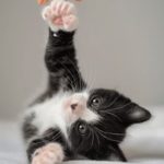 做一次喷了六次水18P ax6w5cip