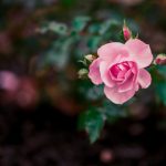 亚洲乱码中文字幕综合 ay262d