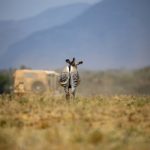 爱奇艺app下载 b6r4hut