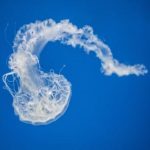 亚洲А∨无码2019在线观看 cy8yda2