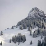 亚洲欧洲综合有码无码 d20dv0