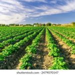 亚洲电影小说图片区在线电影 eep79oh9