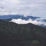 亚洲AV天堂日韩AV天堂 h4ul8