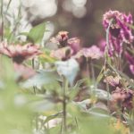 肥女巨肥BAbes i8cknxiv