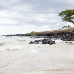 爱情公寓玩新娘 izwv7w4c