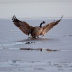 爱情岛论坛线路器1 kgzdxl3