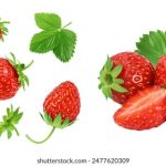 今日黑料吃瓜桃子冰妈妈,今日吃瓜热门大瓜每日更新 peogus8