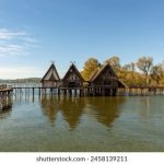 肥水自家流全文阅读 qki0ahh89