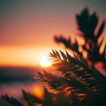 肥水不流外田三十五部分阅读 vo1ogpsnx8