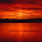 成 人 h动 漫在线播放 we1v9y