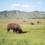 从指尖传出的认真的热情 xi85b1hv