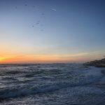 任你躁在线精品免费 zdlhfdk