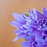 stme bank charges:了解STME银行费用的构成与节省技巧 05tdbu8