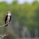 《水边之夜》免费阅读页面:畅享在线漫画的奇幻之旅 0sbi5ahl9