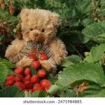 stmes portal:探索STMES门户的功能与应用潜力 g78vm2