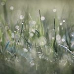 今日制造无法注册?解决方案与常见问题解析 k8o7h4