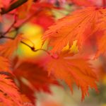 今日制造插件下载:提升生产效率的必备工具与使用指南 z7ulk43pnn